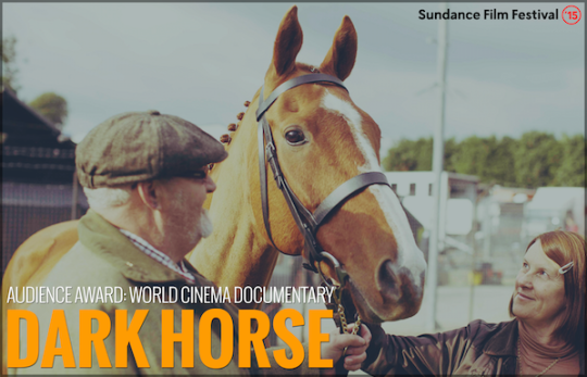 Dark Horse wins Audience Award